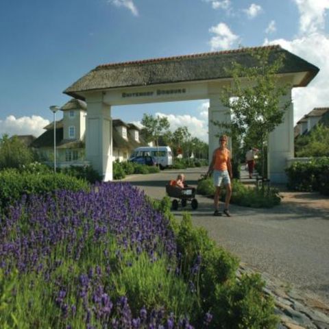 Landal Buitenhof Domburg - Veere - Afbeelding N°4