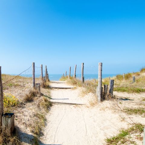 Landal Vakantiepark Callassande - Schagen - Afbeelding N°2