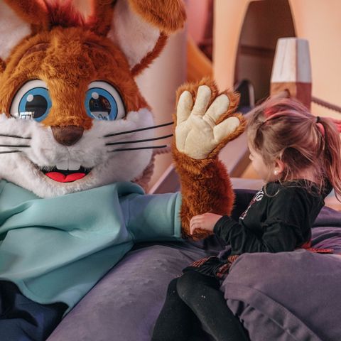 Landal De Soeten Haert - Renesse - Afbeelding N°6