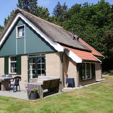 Bungalow 6 personen - T6B Comfort