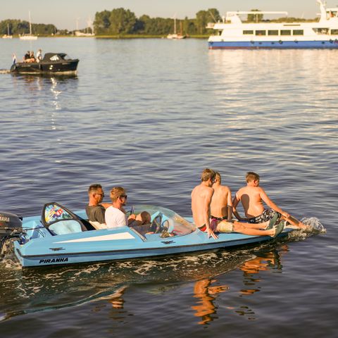 Landal Park Veerse Kreek - Goes - Afbeelding N°6