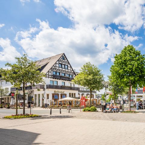 Landal Bergresort Winterberg - Noordrijn-Westfalen - Afbeelding N°6