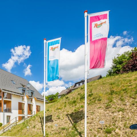 Landal Bergresort Winterberg - Noordrijn-Westfalen - Afbeelding N°2