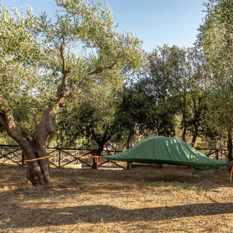 STAANPLAATS - Locatie Terras