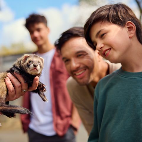 Center Parcs Le Bois aux Daims - Vienne - Afbeelding N°5