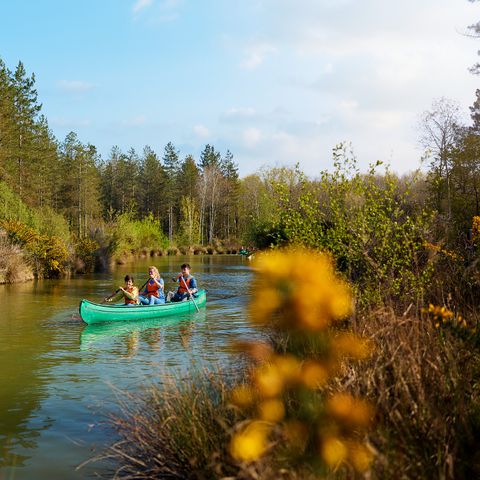 Center Parcs Le Bois aux Daims - Vienne - Afbeelding N°3