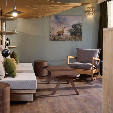 Accommodatie 6 personen - Into the Wild CH2742