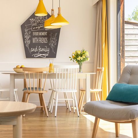 Bungalow 6 personen - Premium TF2322 Renewed 