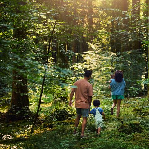 Center Parcs Les Trois Forêts - Moselle - Afbeelding N°6