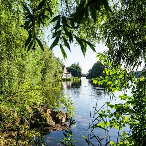 Bungalow 4 personen - VIP Lake LA898