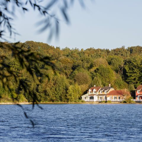 Center Parcs Le Lac d'Ailette - Aisne - Afbeelding N°4