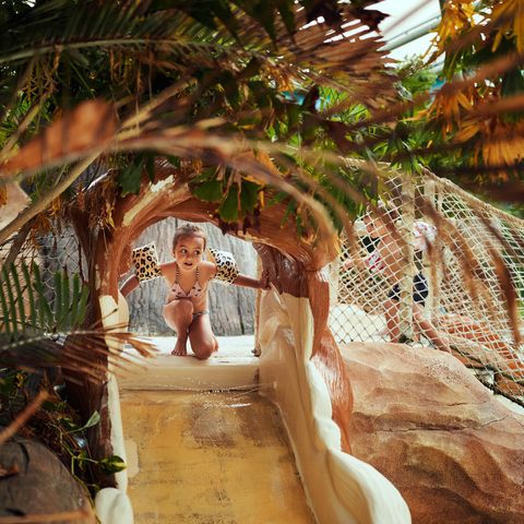 Center Parcs Le Lac d'Ailette - Aisne - Afbeelding N°5