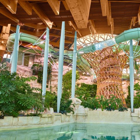 Center Parcs Villages Nature Paris - Seine-et-Marne - Afbeelding N°6