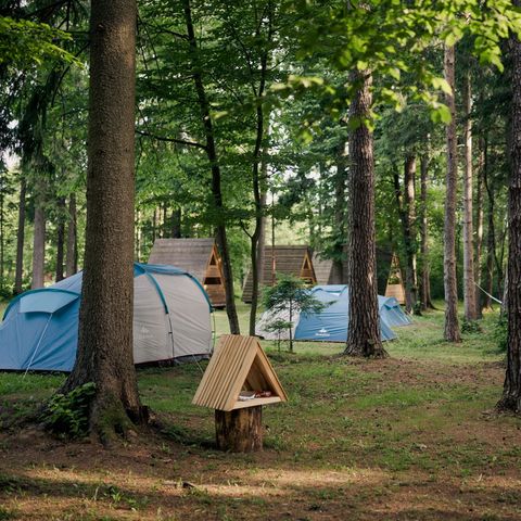 Tent 4 personen - Tent met bed en matras