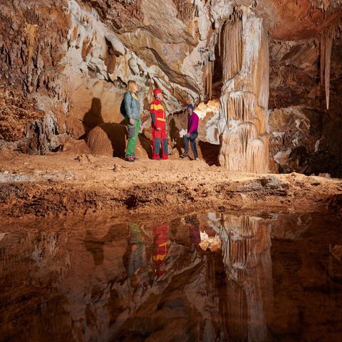 Forest Camping Mozirje - Slovenië - Afbeelding N°5