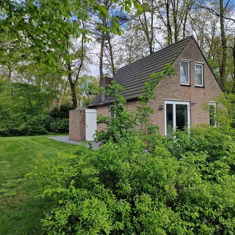 Bungalow 8 personen - Meerkoet