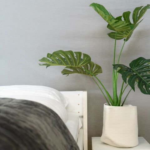 LODGE 5 personen - Panorama met privé sanitair