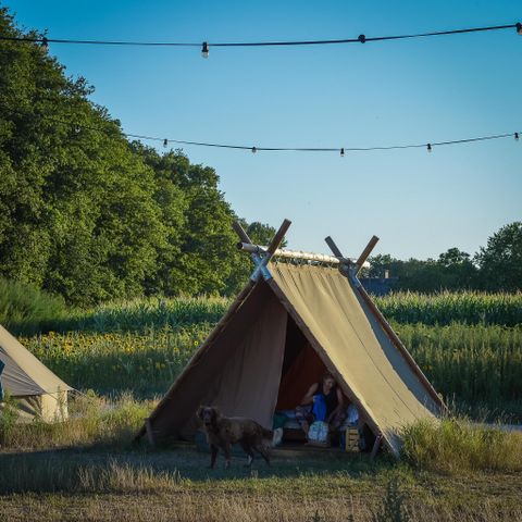 Groepsaccommodatie 32 personen - 6x luxe glampingtent