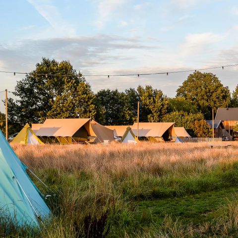 Groepsaccommodatie 32 personen - 6x luxe glampingtent