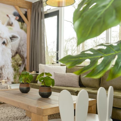 Bungalow 6 personen - Kinderbungalow boerderij met sauna & warme bubbeltub