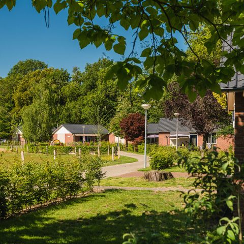 Bungalow 5 personen - Baby- &