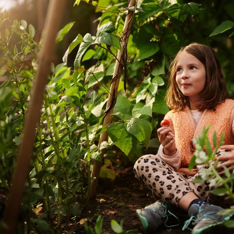 Center Parcs Het Meerdal - Horst an der Maas - Afbeelding N°6