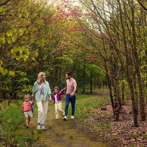 Center Parcs Het Meerdal - Horst an der Maas - Afbeelding N°4