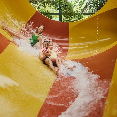 Center Parcs Het Meerdal - Horst an der Maas - Afbeelding N°3