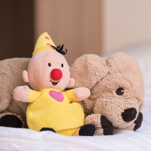 Bungalow 4 personen - Kinderbungalow Kapschuur