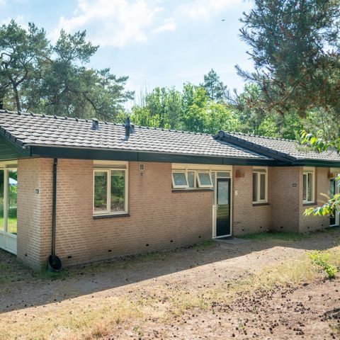 Bungalow 6 personen - 6C