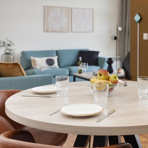 Bungalow 4 personen - Honden 4CD