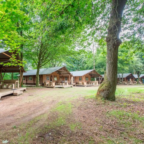 Safaritent 6 personen - 6ST