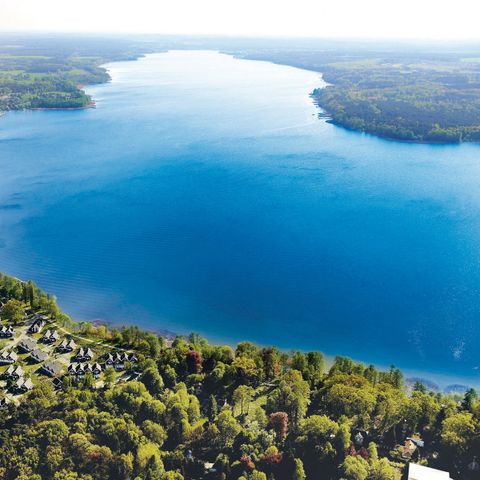 Schlosspark Bad Saarow - Brandenburg - Afbeelding N°2