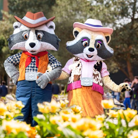 Attractie- & Vakantiepark Slagharen - Camping Hardenberg - Afbeelding N°6