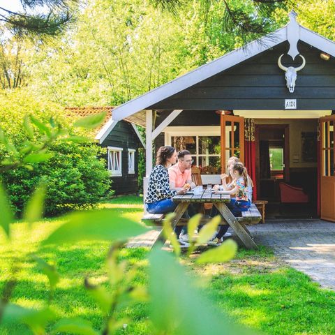 VAKANTIEHUIS 6 personen - Cowboy Cottage (max. 2 adults)