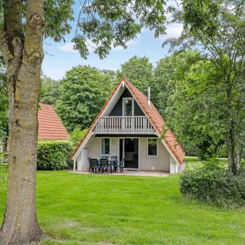 Bungalow 6 personen - Goudvink
