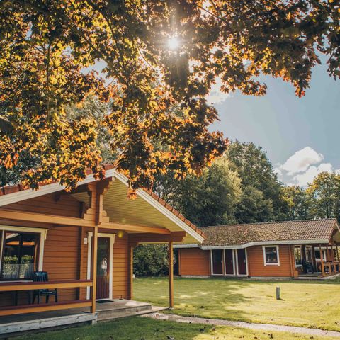 Chalet 4 personen - De Kleine Gramsberger Comfort