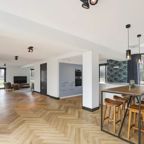 Groepsaccommodatie 12 personen - Villa Vechtrijk
