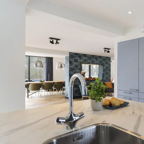 VAKANTIEHUIS 12 personen - Villa Vechtrijk