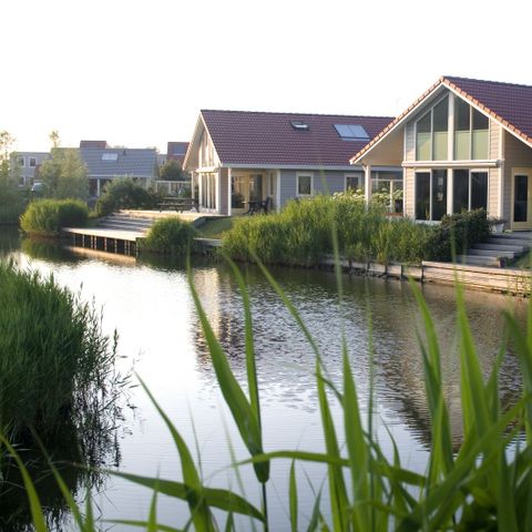 Bungalow 6 personen - Rietgans