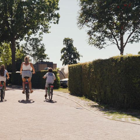 Villapark De Paardekreek - Nord-Beveland - Afbeelding N°3