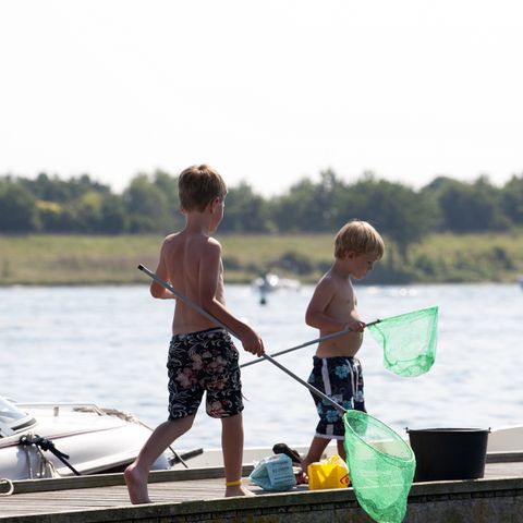 Villapark De Paardekreek - Camping Nord-Beveland - Afbeelding N°5