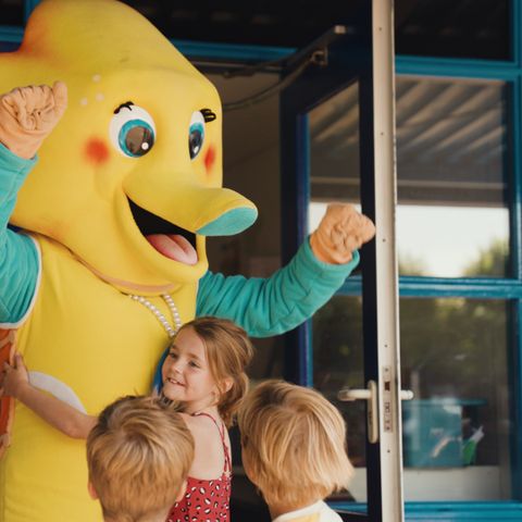 Villapark De Paardekreek - Nord-Beveland - Afbeelding N°4