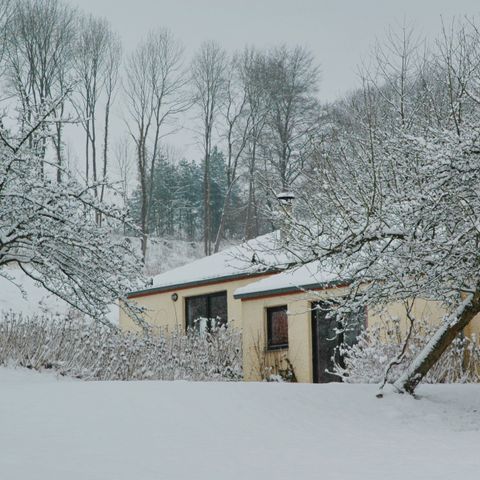 Bungalowpark Vallée de Rabais - Belgisch-Luxemburg - Afbeelding N°6