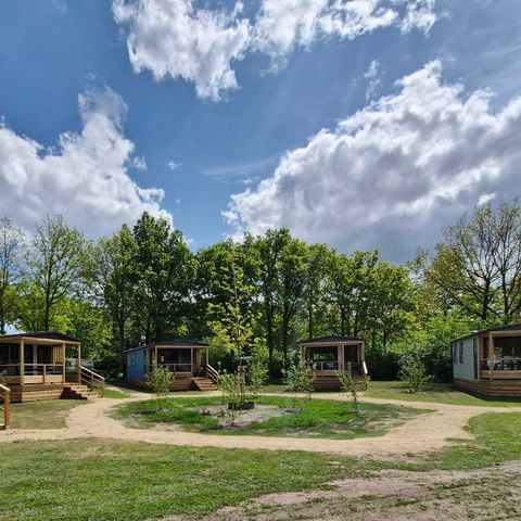 Chalet 4 personen - 2+2 (tot 12 jaar) Goudhaver