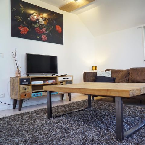 VAKANTIEHUIS 8 personen - Villa Veluwe