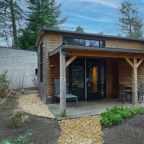 Tiny House 4 personen - met Hottub