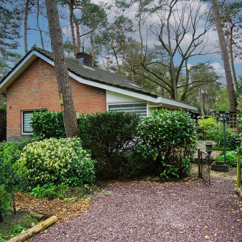 Bungalow 6 personen - Boshuis