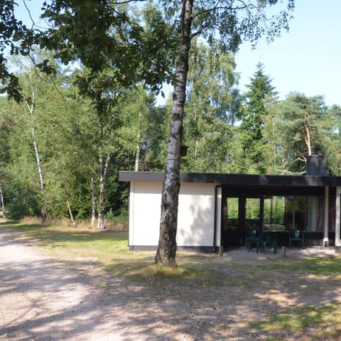 Bungalow 6 personen - Bos