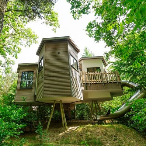 Accommodatie 4 personen - Boomhuis BS1343